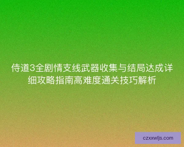侍道3全剧情支线武器收集与结局达成详细攻略指南高难度通关技巧解析