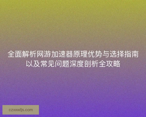 全面解析网游加速器原理优势与选择指南以及常见问题深度剖析全攻略